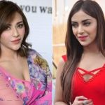 Angela Krislinzki Plastic Surgery Before and After