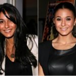 Emmanuelle Chriqui Plastic Surgery Before and After